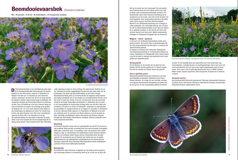 Boek - Planten van hier