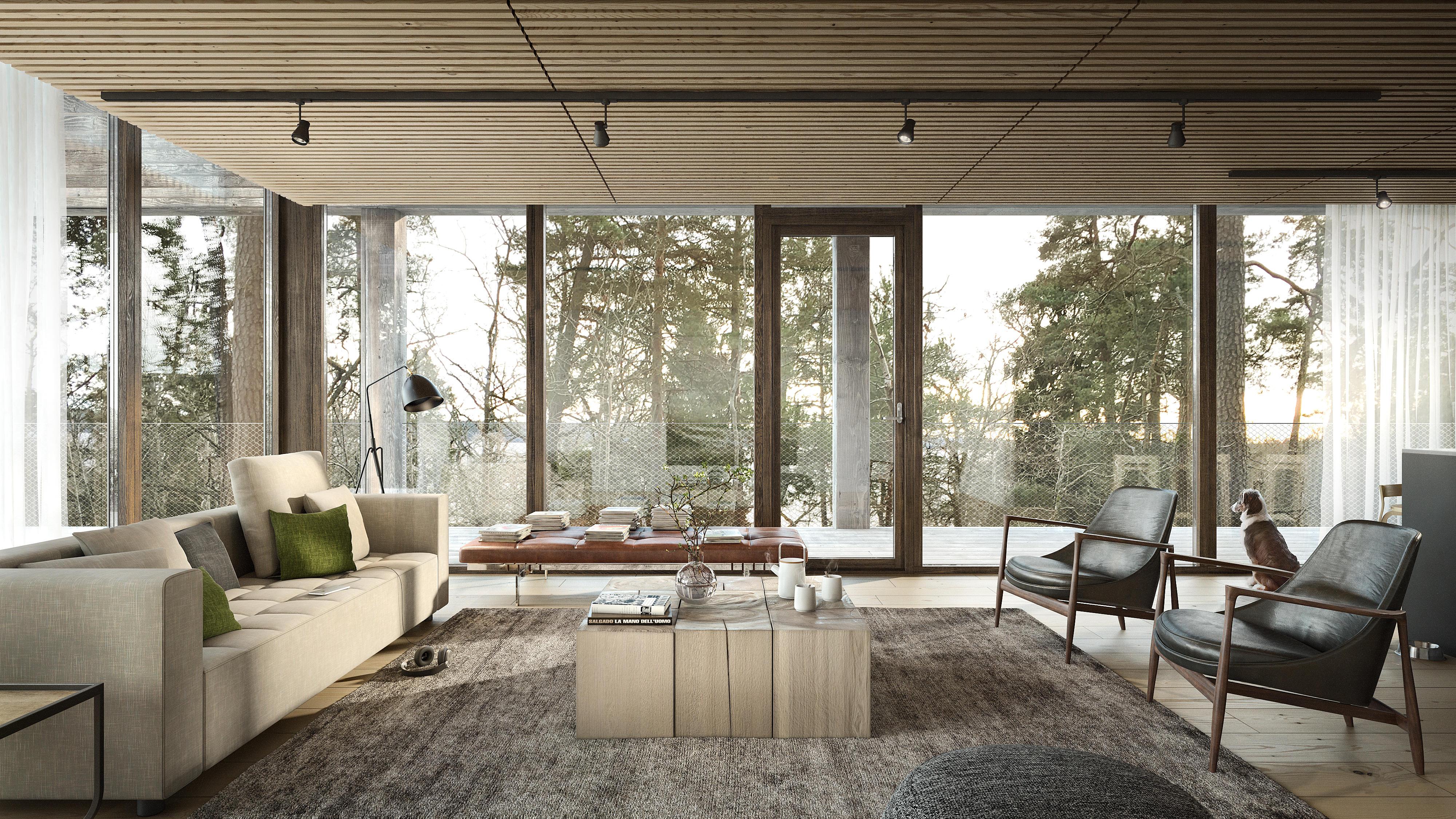 F O R E S T    //    T M W R