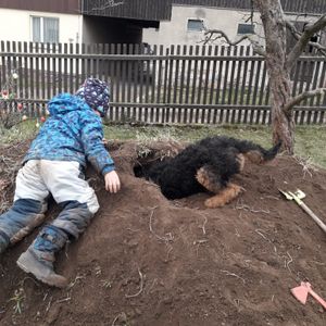 Bild K
