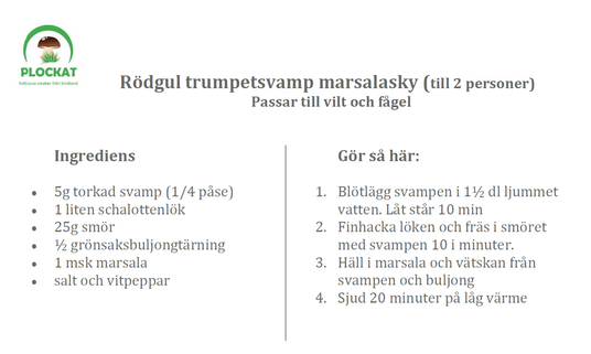 rgt marsalasås