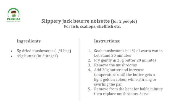 sliper jack beurre noisette ENG