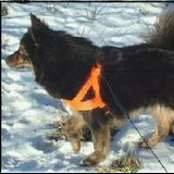 Afra