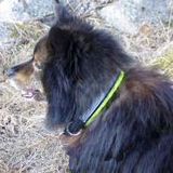FAR Fjällfarmens Floyd