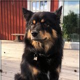Beavvi