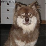 Gilala