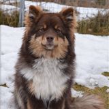 Ziki 