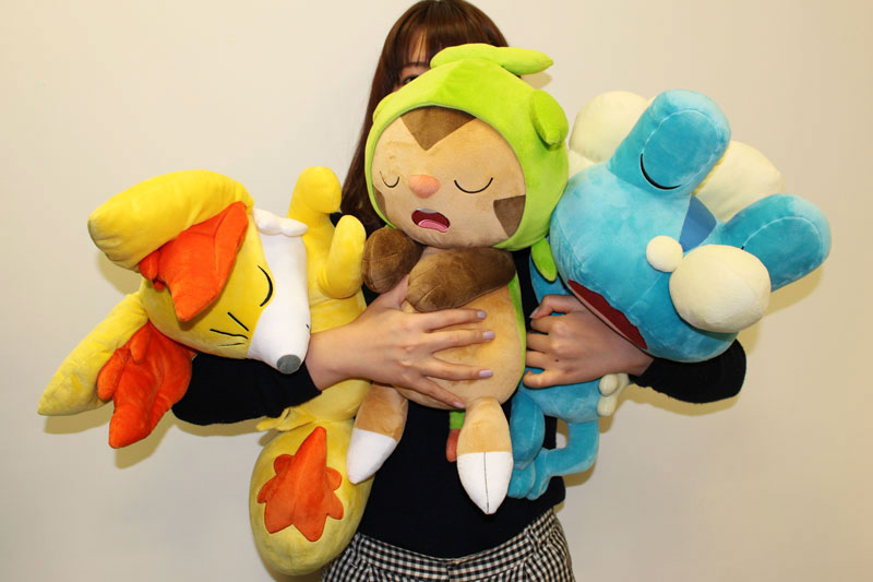 Pokémon Center 'Fukubukuro' Lucky Bag 2015