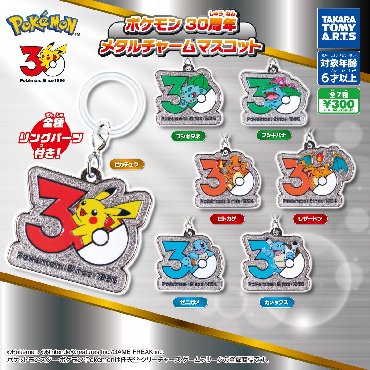 Pokémon 30th Logos Keychains