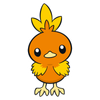Torchic