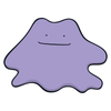 Ditto