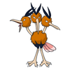 Dodrio