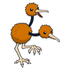 Doduo