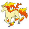 Rapidash