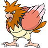 Spearow