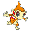 Chimchar