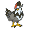 Staraptor