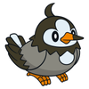 Starly