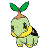 Turtwig