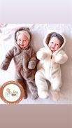 235.000 osito de peluche