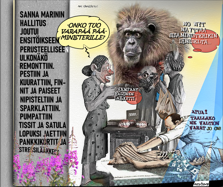 #puuta heinää-#punavihreä hallitus-#sote uudistus