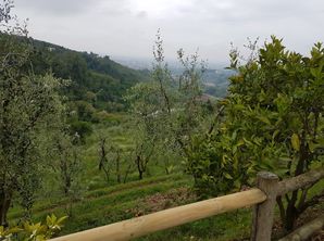 20170508_100838