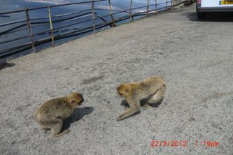 22.3.Gibraltar101024x683