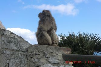 22.3.Gibraltar111024x683