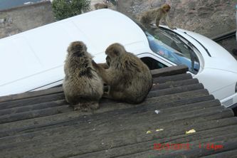 22.3.Gibraltar171024x683