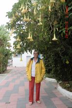 24.3CuervasdeNerjayAlmu+¦ecar31683x1024