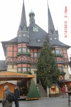 CIMG4453533x800