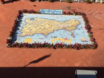 IMG_0325800x600