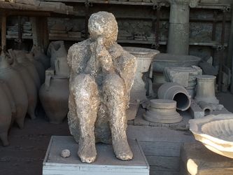 IMG_0339800x600