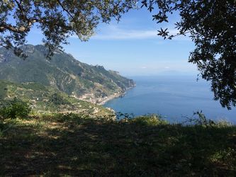 IMG_0467800x600