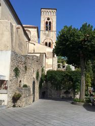 IMG_0472600x800
