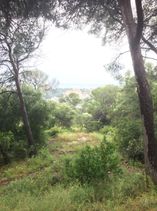 IMG_0693