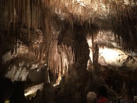IMG_0818
