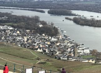 IMG_1465