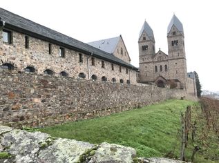 IMG_1519