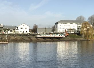 IMG_1582
