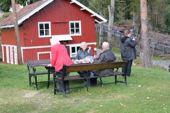 IMG_1916800x533