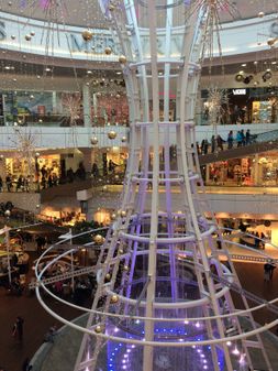 IMG_2358