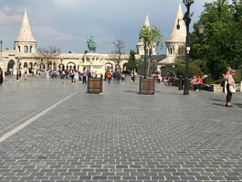 IMG_3730
