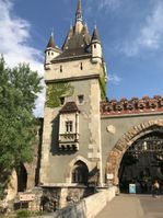 IMG_3743