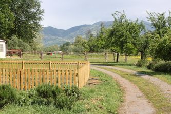 IMG_4174
