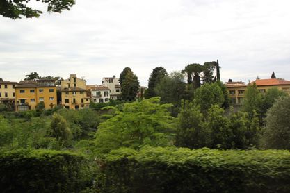 IMG_4401