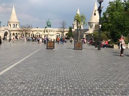 IMG_3730