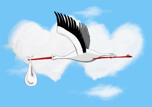 Stork-Blå