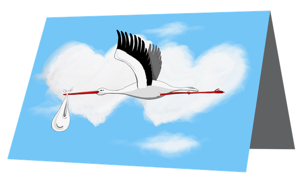 Storken-Blå_Falset_01