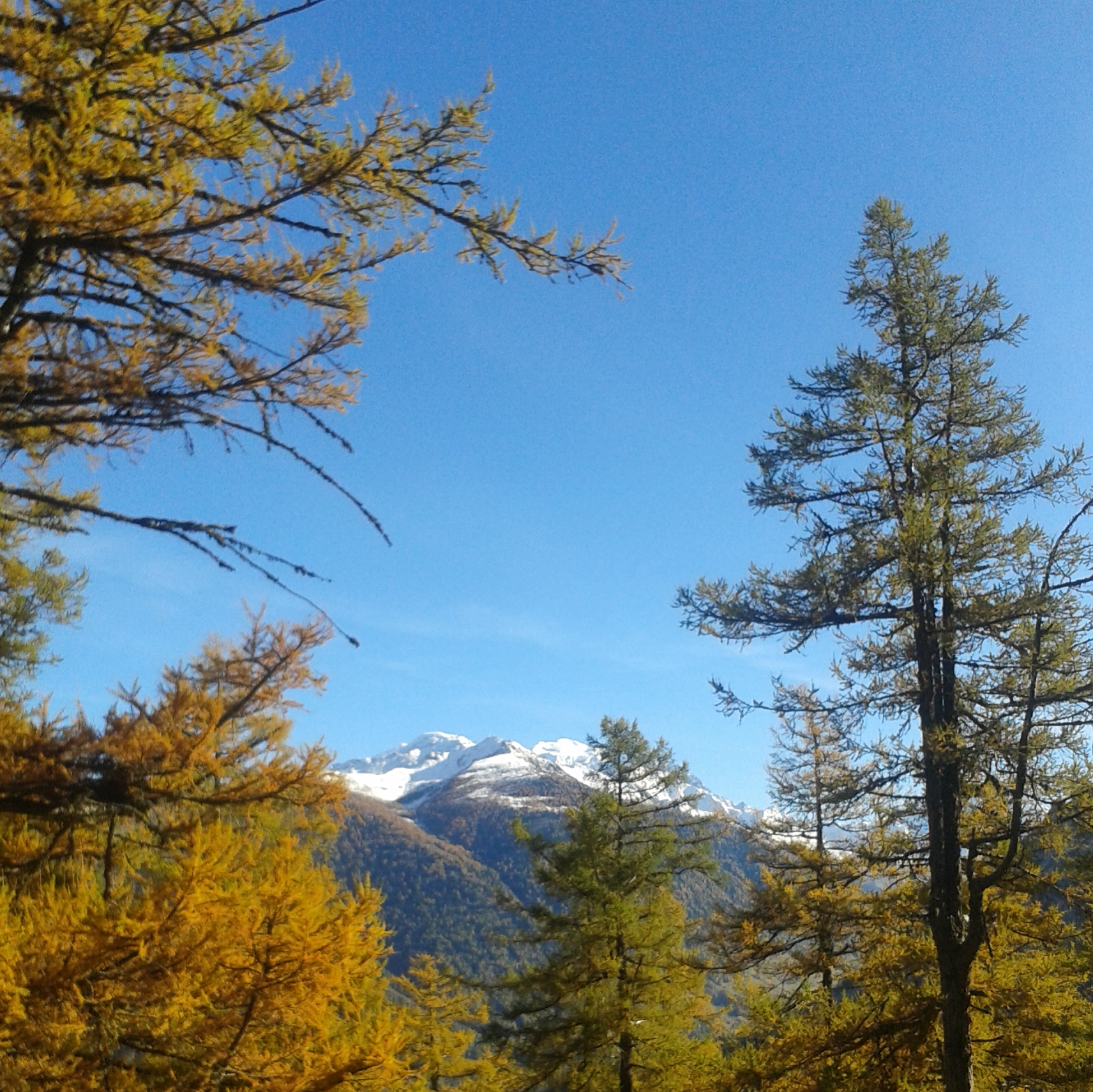 Autumn in Verbier