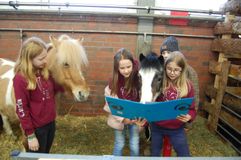 Heimtiermesse Cloppenburg 2020 (a)